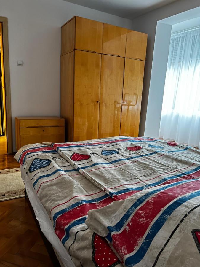 Noreea Central Apartment ティミショアラ エクステリア 写真