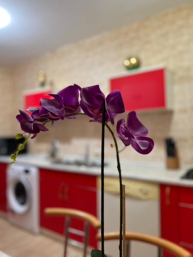 Noreea Central Apartment ティミショアラ エクステリア 写真