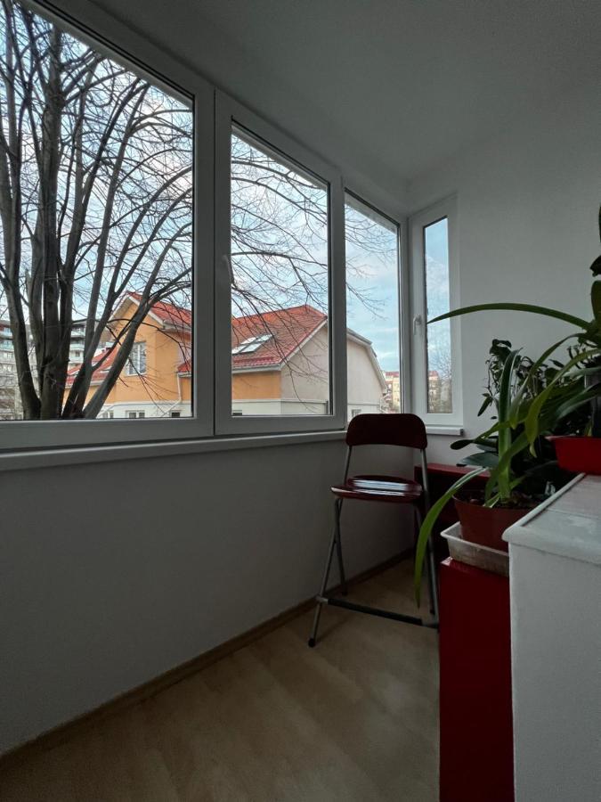 Noreea Central Apartment ティミショアラ エクステリア 写真